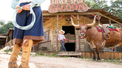 Hero Display Image  – provided by Visit San Antonio