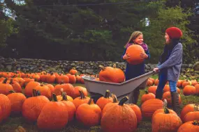 Hero Display Image   – provided by Connecticut Office of Tourism