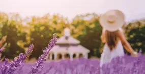 Hero Display Image   – provided by Connecticut Office of Tourism